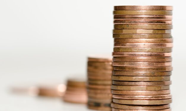 Internet Income: Membership Websites 101