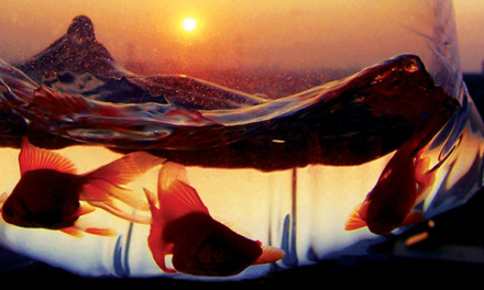 21 Tools For Getting MORE Out Of Today