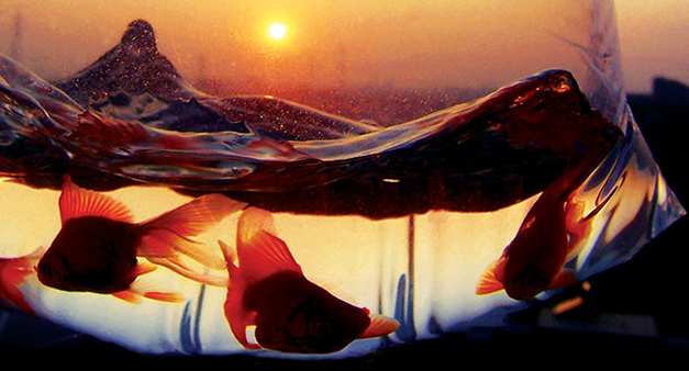 21 Tools For Getting MORE Out Of Today