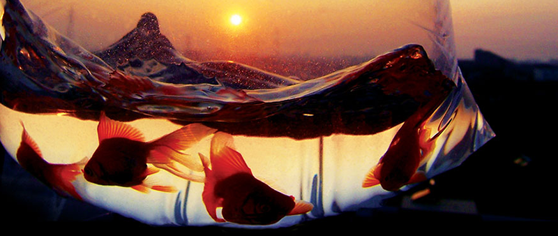 21 Tools For Getting MORE Out Of Today