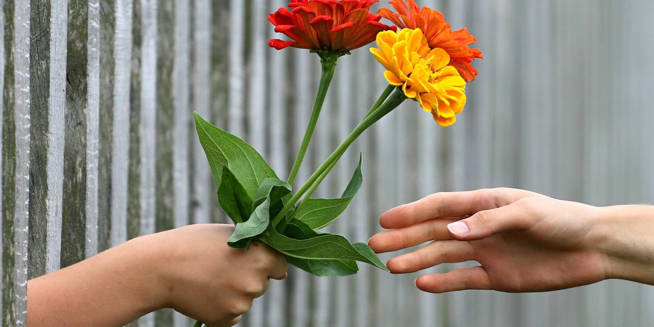 Finding Your Purpose For A Positive Impact in the World