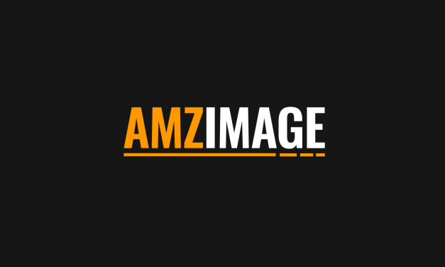 AMZ Image Plugin: The Easiest Way for Amazon Associates to Insert Images from Amazon in WordPress
