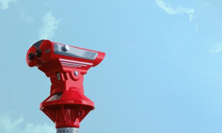 Shopify Plus Search – What to Look For in a Third Party Solution