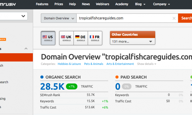 SEMRush Review & Tutorial – Steal My Best Keyword Research Strategy