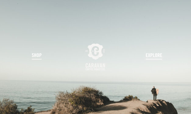 101 best Shopify stores for e‑commerce inspiration