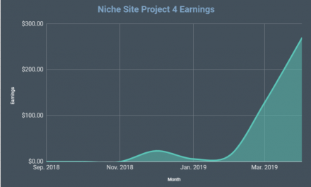 How Much Does it Cost to Start a Blog or Niche Website? The Total Investment Spent on Niche Site Project 4