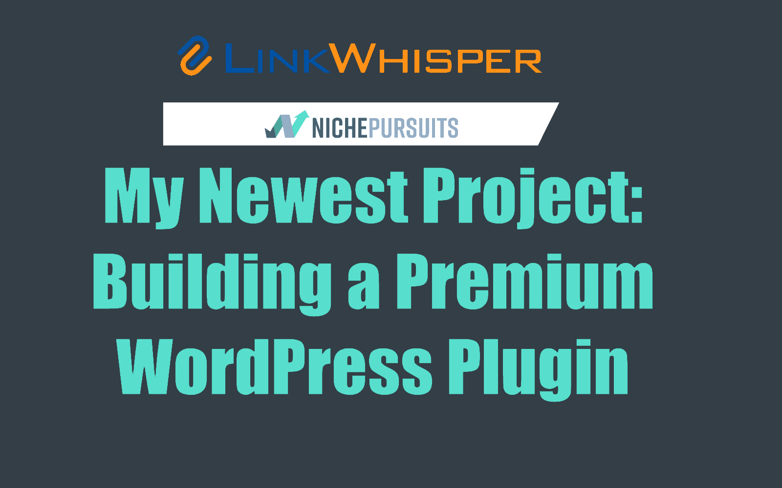 My Newest Project: Building a Premium WordPress Plugin