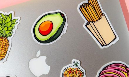 Building an Ecommerce Business: From Zero to $100,000 in Revenue from Instagram Ads