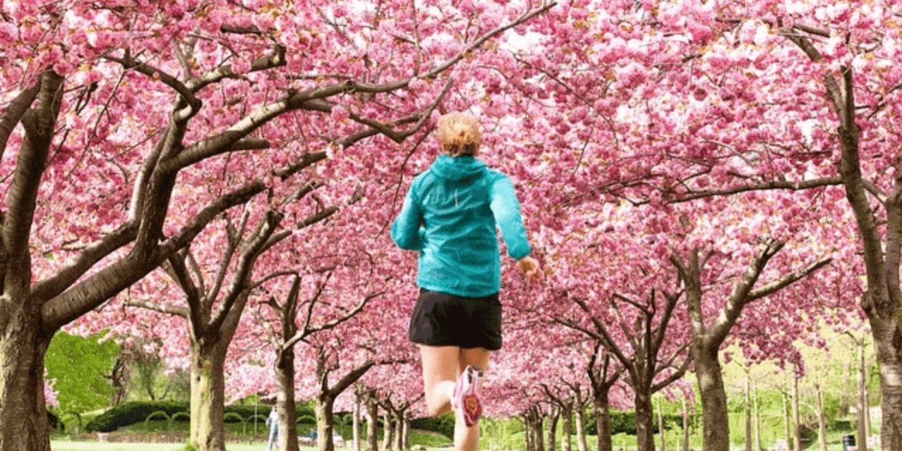 Nike&rsquo;s Secret to Success on Instagram: Building an Engaged Community