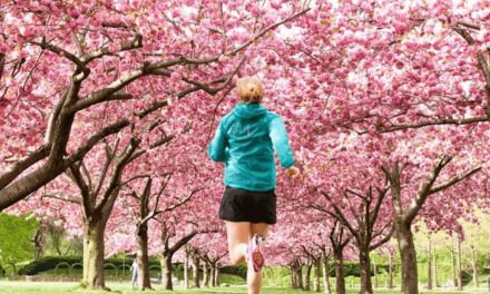 Nike&rsquo;s Secret to Success on Instagram: Building an Engaged Community