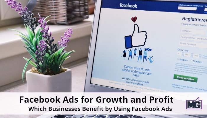 Facebook Ads for Growth and Profit &ndash; Which Businesses Benefit by Using Facebook Ads
