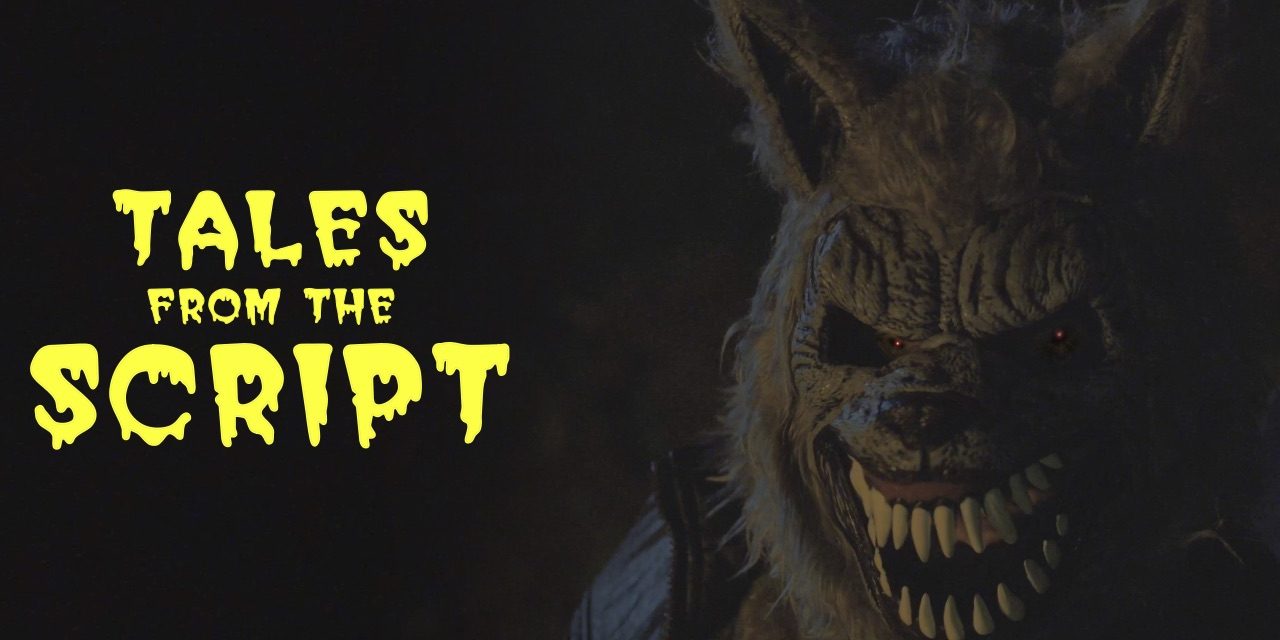 Tales from the Script: Overcoming Common Video Fears