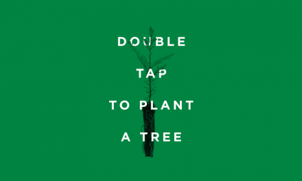 How tentree Took Over Instagram: Behind a Record-Breaking Social Media Campaign