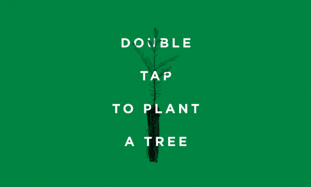 How tentree Took Over Instagram: Behind a Record-Breaking Social Media Campaign