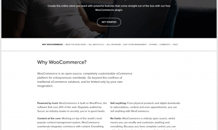 WooCommerce Review: Does Woo Still Rule the e-Commerce World?