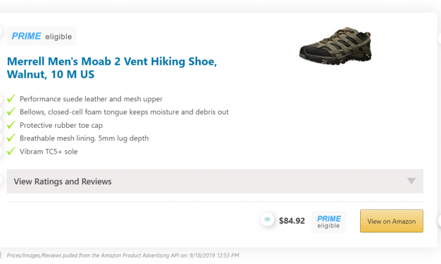 Amalinks Pro Review: Can You Boost Your Amazon Associates Income with This WordPress Plugin?