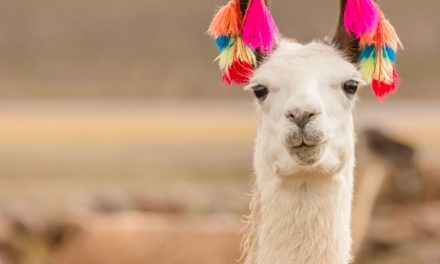 5 Types of Talk Triggers to Get People Talking About You