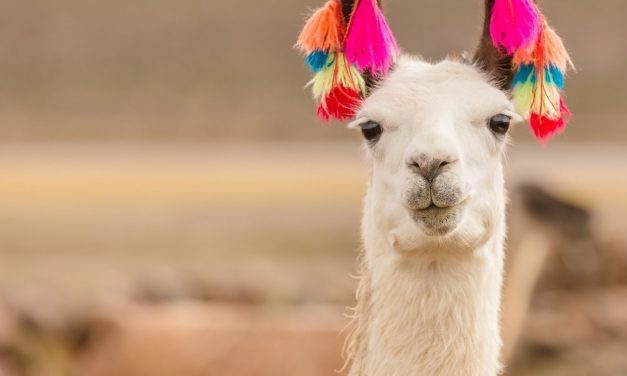 5 Types of Talk Triggers to Get People Talking About You