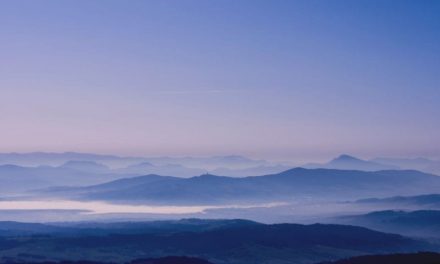 A Crash Course in Custom Audiences for Your Social Media Ads