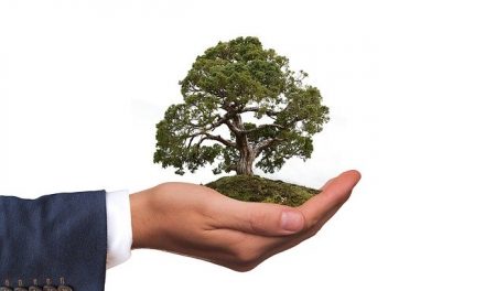 How to Properly Support the Ecosystem of Your Firm