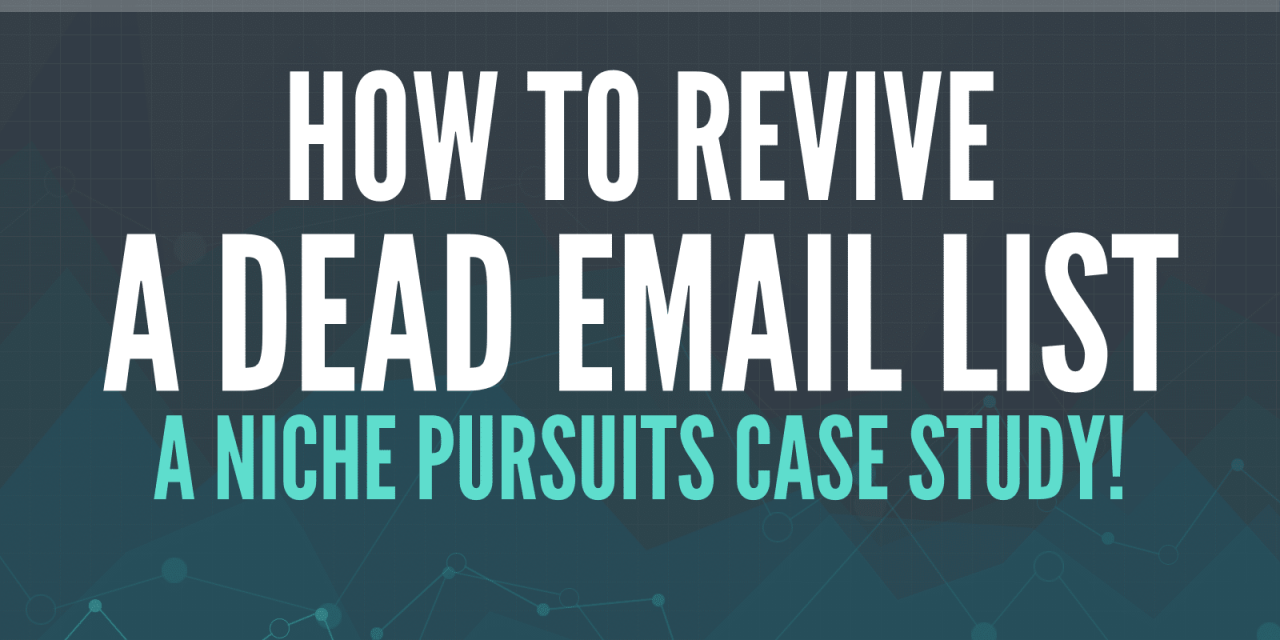 Let&rsquo;s Revive a Dead Email List&hellip;a New Project Begins!