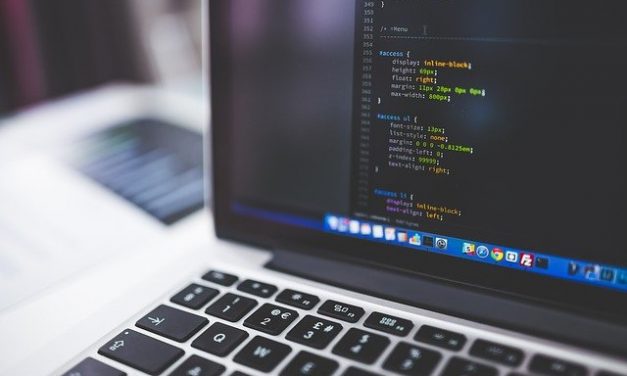 Why Software Development Is Important for Every New Business