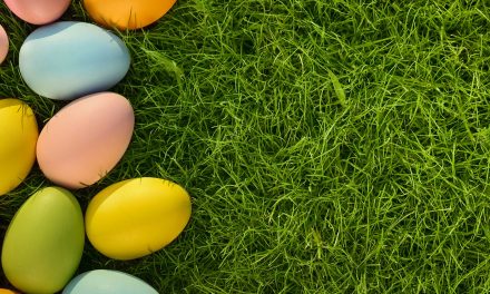 How Any Job Seeker Can Use Video to Get a Job