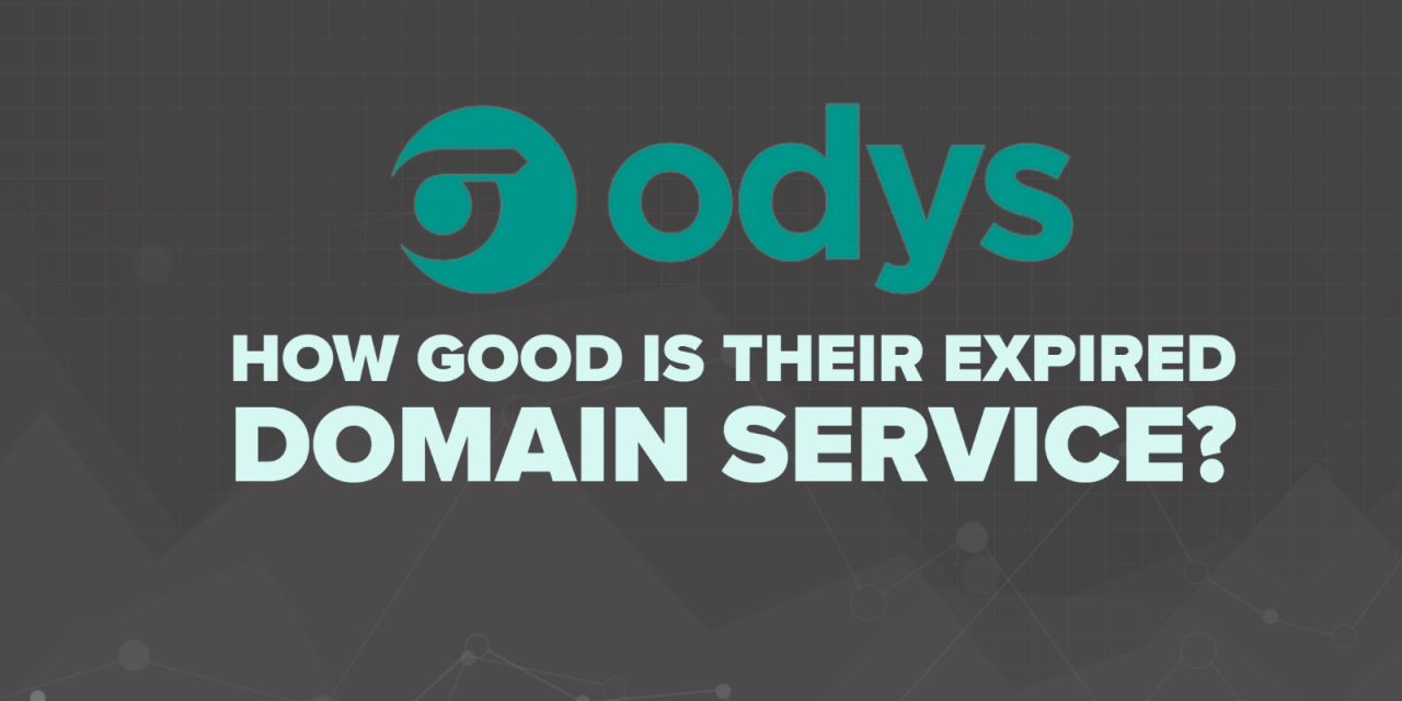 ODYS Global Review: How Good Is Their Aged Domain Service?