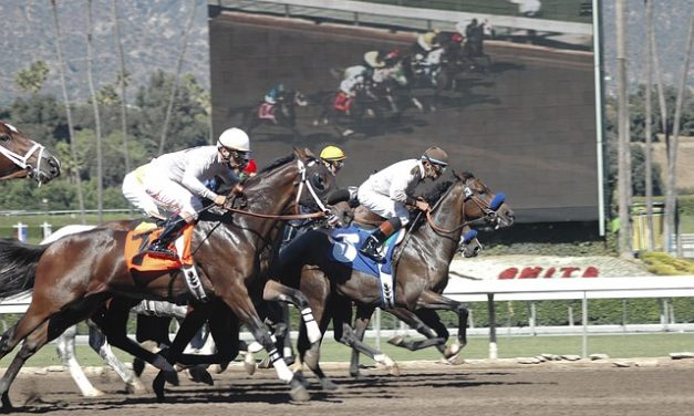 The Different Types of Sports Betting Content and Why Quality is Important