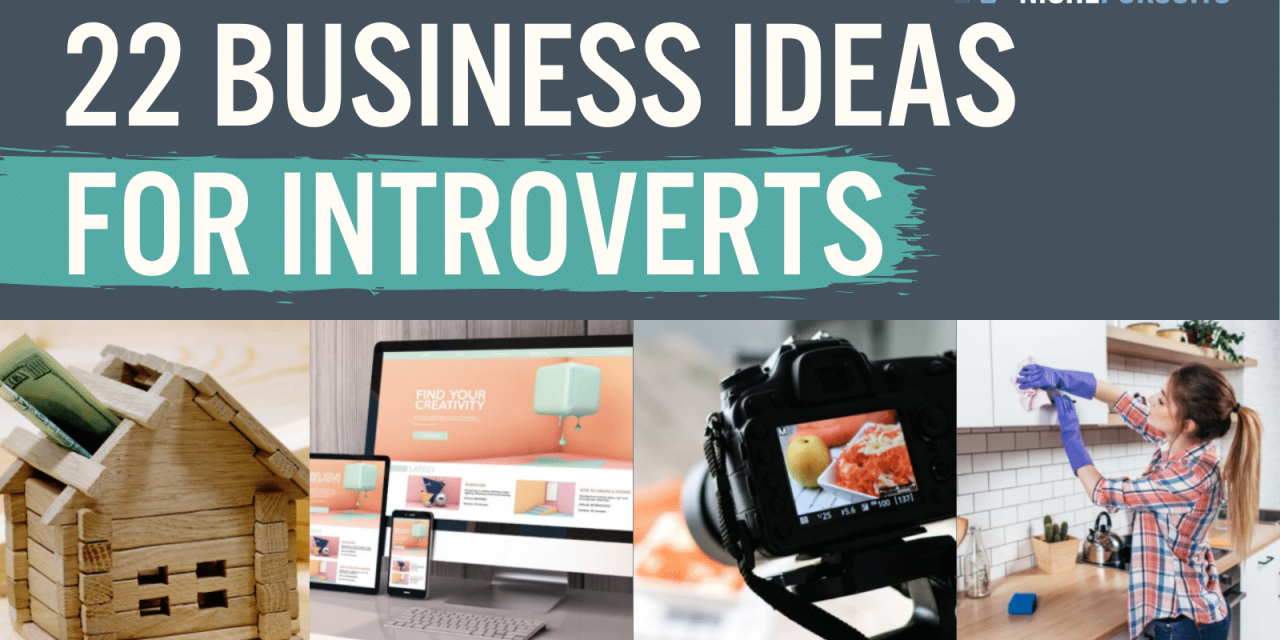 22 Great Business And Self Employment Ideas For Introverts