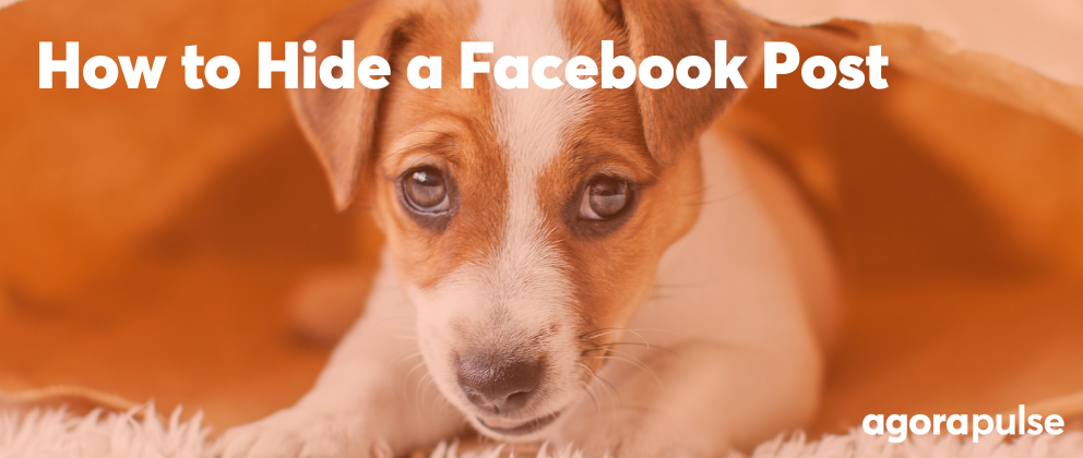 What Happens When You Hide a Facebook Post (and How to Do It)