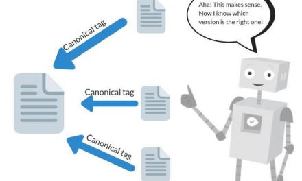What Are Canonical Tags? A Beginner Friendly Guide