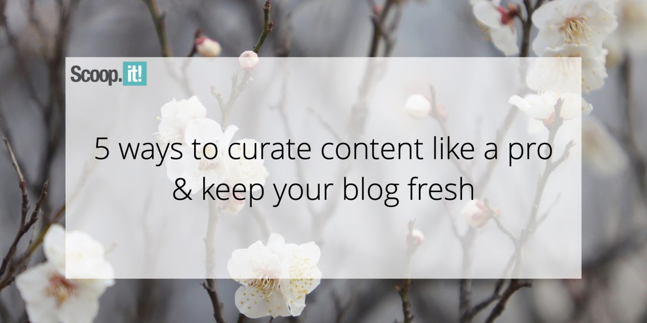 5 Methods To Curate Information Like a Pro & Maintain Your Weblog Fresh￼