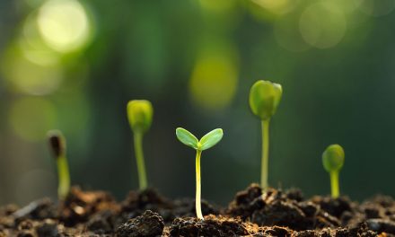 7 Things I Wish I Knew When I Started in PPC