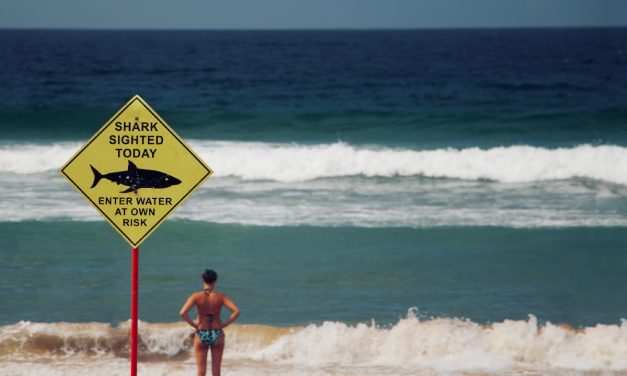 Risk Is the Product Manager’s Friend | by Caspar Mahoney | Oct, 2022