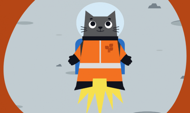 Software Programming Interface (API) Goods | by Scott Middleton | Oct, 2022