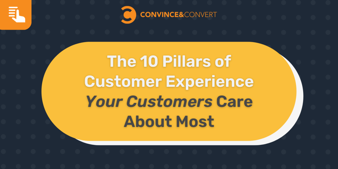 10 Pillars of Customer Experience (CX)