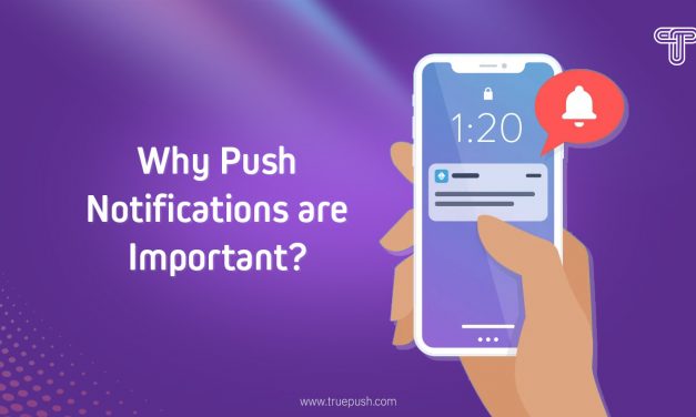 Why Drive Notifications are Crucial?