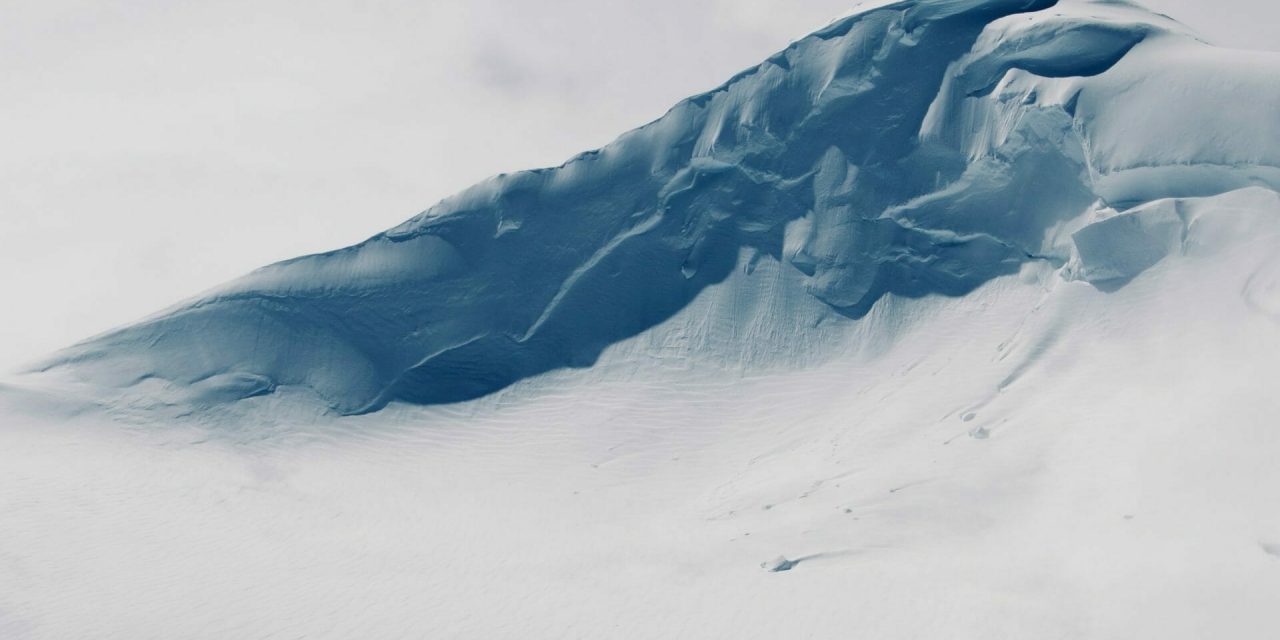 Weekend Favs – Regie ai, Omnisearch and Minicourse generator