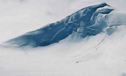 Weekend Favs – Regie ai, Omnisearch and Minicourse generator