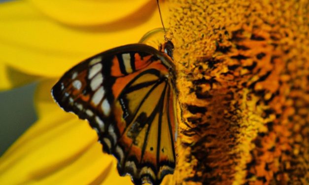 How can AI image generation with DALL·E 2 be used in digital marketing?