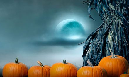 65 Halloween Greetings & Phrases for All Your Marketing Desires