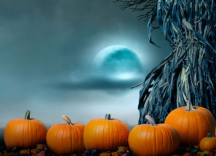 65 Halloween Greetings & Phrases for All Your Marketing Desires