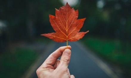 64 Creative November Marketing Ideas (+Examples!)