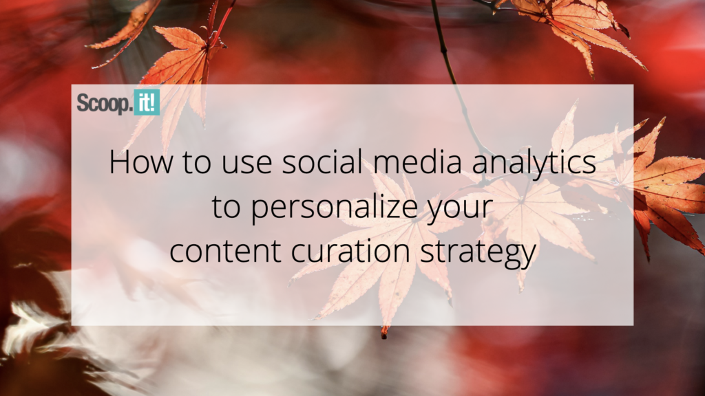 How to Use Social Media Analytics to Personalize Your Information Curation Method