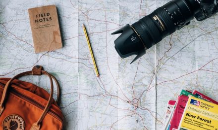 Digital Solutions Shape Consumer Behavior in Tourism | by Kevin Nguyen | Nov, 2022