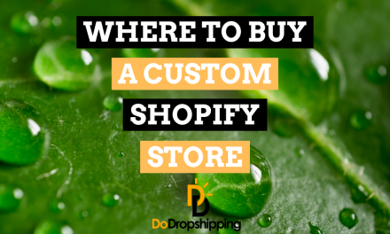 Where to Buy a Custom Shopify Store? (Get It Premade)