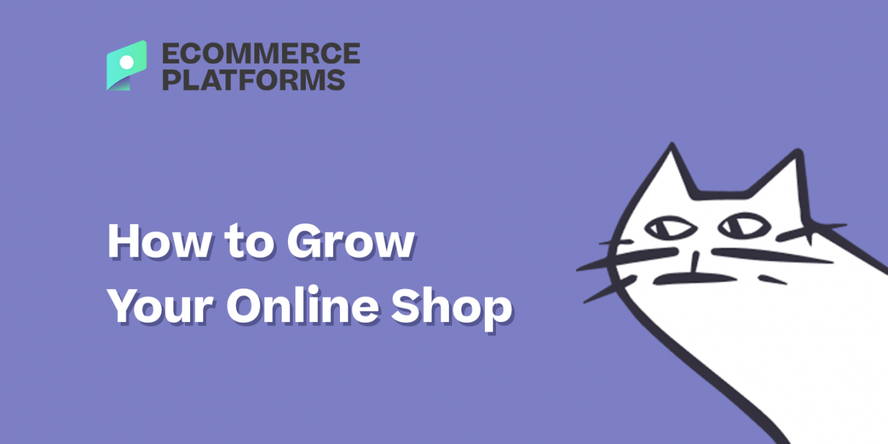 How to Grow Your Online Business In 21 Steps