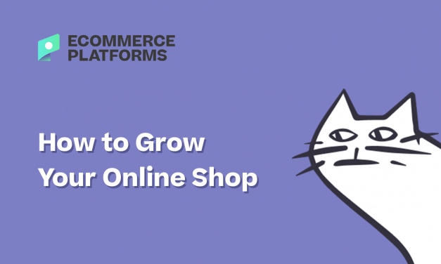 How to Grow Your Online Business In 21 Steps