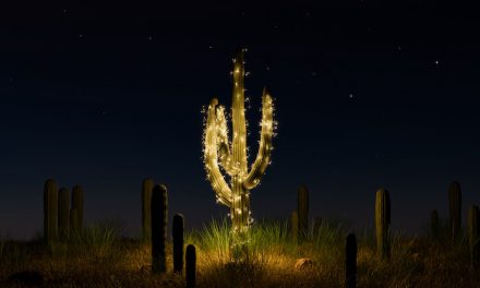 5 Innovative B2B Vacation Promoting Ideas & Examples